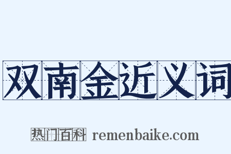 双南金近义词是什么意思的图片
